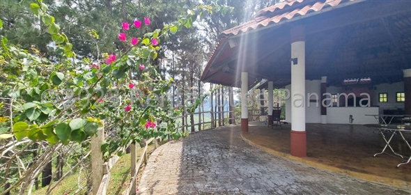 Capira Chiriqui Chiriqui, 07019 | Family Farm House - Finca en Capira