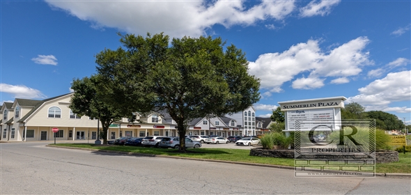 942 & 946 NYS Route 376 Wappingers Falls New York, 12590 | Hudson Valley - Investment, Regional Strip Center