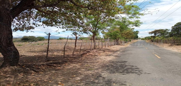 Finca San Carlos Carretera Las Uvas, SanCarlos, Panama City Panamá Province, 07039 | Finca en San Carlos - Splendid Commercial Land