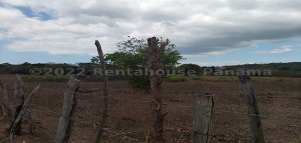 Finca San Carlos Carretera Las Uvas, SanCarlos, Panama City Panamá Province, 07039 | Finca en San Carlos - Splendid Commercial Land