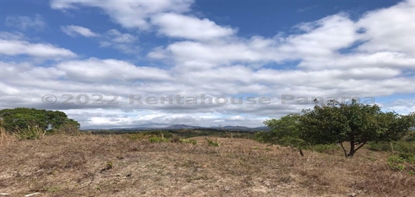 Finca San Carlos Carretera Las Uvas, SanCarlos, Panama City Panamá Province, 07039 | Finca en San Carlos - Splendid Commercial Land