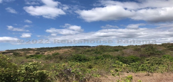 Finca San Carlos Carretera Las Uvas, SanCarlos, Panama City Panamá Province, 07039 | Finca en San Carlos - Splendid Commercial Land