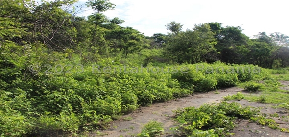 Terreno Carretera Chame, Chame Panama City Panamá Province, 07029 | Exclusive Lot - Terreno en Chame