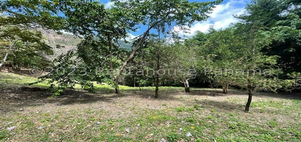 Altos Del María Calle Laurel Calle Comagre 71/72 Panama City Panamá Province, 07140 | Beautiful Lot- Lote en Altos de María, Panamá