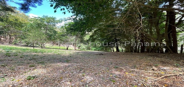 Altos Del María Calle Laurel Calle Comagre 71/72 Panama City Panamá Province, 07140 | Beautiful Lot- Lote en Altos de María, Panamá