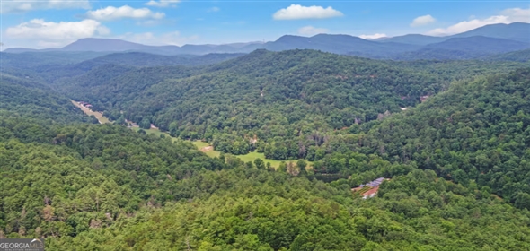 1760 Rickman Airfield Road Clayton Georgia, 30525 | Exclusive 100-Acre Mountain Retreat & Event