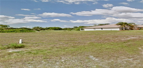 3123 NW 17 Ln Cape Coral Florida, 33993 | Beautiful Land