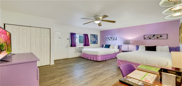 2525 N. Palm Canyon Drive Palm Springs California, 92262 | Inn at Palm Springs