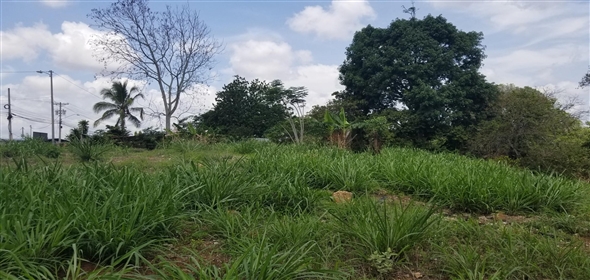 Lote de terreno Calle NA 5. La Chorrera Panamá Province,  | Commercial Property