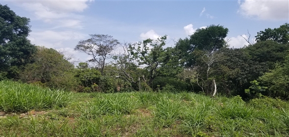 Lote de terreno Calle NA 5. La Chorrera Panamá Province,  | Commercial Property