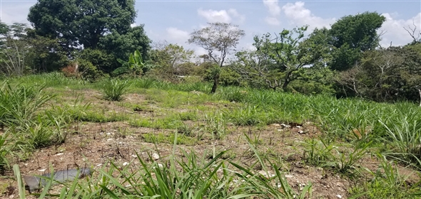 Lote de terreno Calle NA 5. La Chorrera Panamá Province,  | Commercial Property