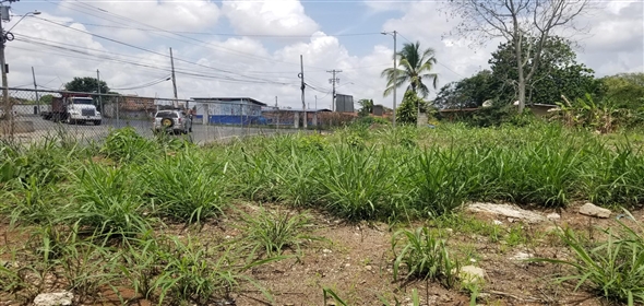 Lote de terreno Calle NA 5. La Chorrera Panamá Province,  | Commercial Property