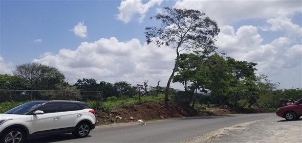 Lote de terreno Calle NA 5. La Chorrera Panamá Province,  | Commercial Property