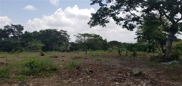 Lote de terreno Calle NA 5. La Chorrera Panamá Province,  | Commercial Property