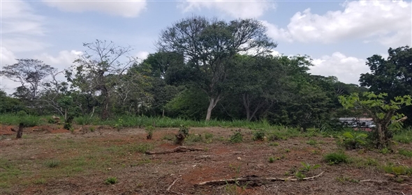 Lote de terreno Calle NA 5. La Chorrera Panamá Province,  | Commercial Property