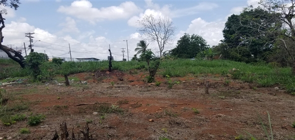 Lote de terreno Calle NA 5. La Chorrera Panamá Province,  | Commercial Property