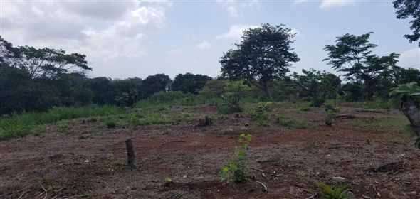 Lote de terreno Calle NA 5. La Chorrera Panamá Province,  | Commercial Property