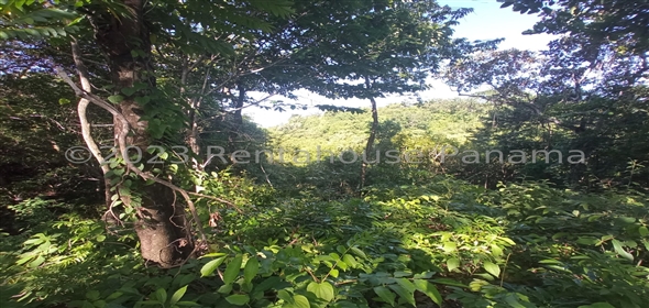 Lote de Terreno Ruta Playa Boca Chica Panama City Panamá Province,  | Commercial Property