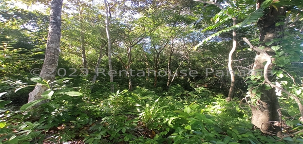 Lote de Terreno Ruta Playa Boca Chica Panama City Panamá Province,  | Commercial Property