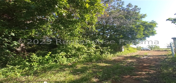 Lote de Terreno Ruta Playa Boca Chica Panama City Panamá Province,  | Commercial Property