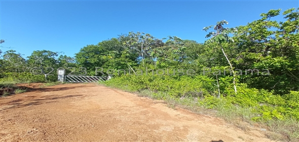 Lote de Terreno Ruta Playa Boca Chica Panama City Panamá Province,  | Commercial Property