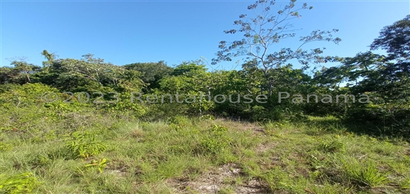 Lote de Terreno Ruta Playa Boca Chica Panama City Panamá Province,  | Commercial Property