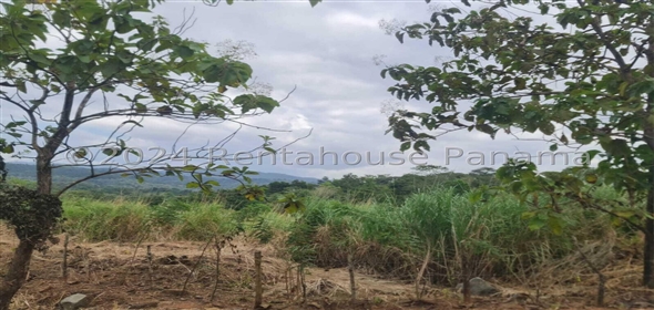 Terreno Inversión Calle Panama Norte Panama City Panamá Province,  | Lot for sale