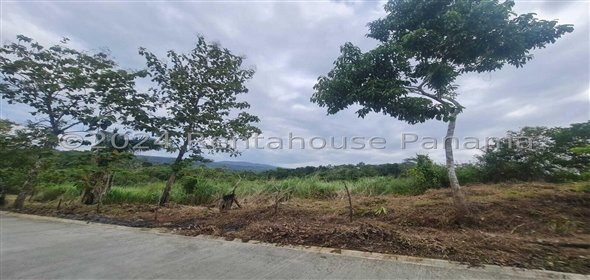 Terreno Inversión Calle Panama Norte Panama City Panamá Province,  | Lot for sale