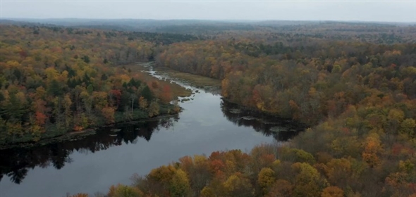 Horseshoe Lake Rd Bethel New York, 12720 | 370+ Land Sale / Bethel, NY - Sullivan County