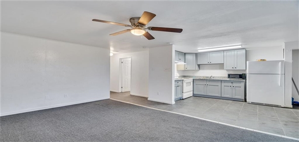 3223 Third Street. New Orleans Louisiana, 70125 | Residential/Sale/Apartment