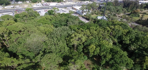 Pinewood Dr New Port Richey Florida, 34652 | Prime 3.67 acre Development Site for 28 Townhomes in Pasco *Approved Site Plan*