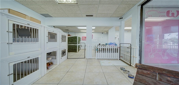 Miami Miami Florida, 33173 | Beautiful Dog Grooming