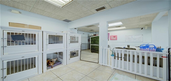 Miami Miami Florida, 33173 | Beautiful Dog Grooming