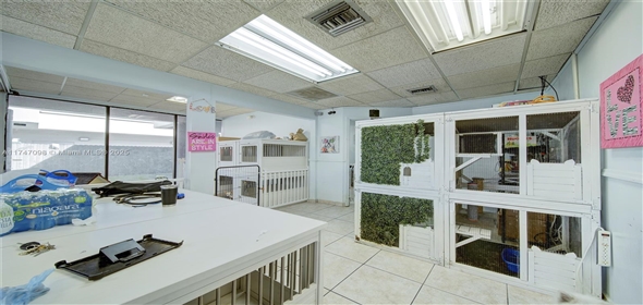 Miami Miami Florida, 33173 | Beautiful Dog Grooming