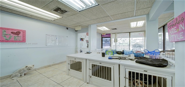 Miami Miami Florida, 33173 | Beautiful Dog Grooming