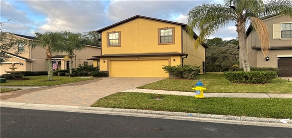 20024 DATE PALM WAY Tampa Florida, 33647 | Tampa Family Home: Modern and Beautiful