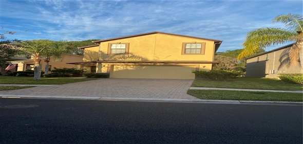 20024 DATE PALM WAY Tampa Florida, 33647 | Tampa Family Home: Modern and Beautiful