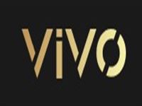 VIVO Real Estate Group