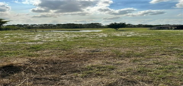 2105 Everhigh Acres Road Clewiston Florida, 33440 | Beautiful Residential Land