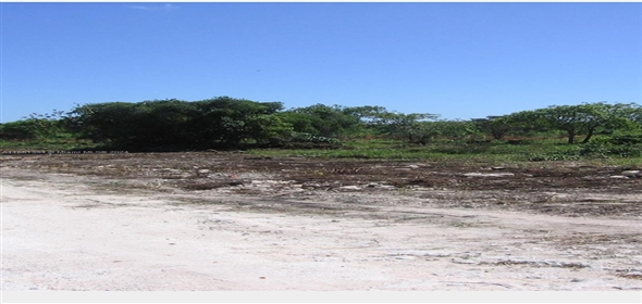 Boulevard , Punta Cana  Dominican Republic,  | Commercial Land