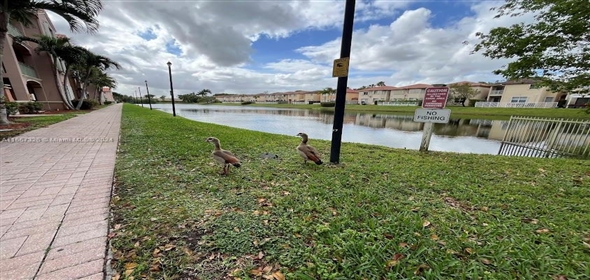 6700 NW 114th Ave # 904 Doral Florida, 33178 | Beautiful Condo