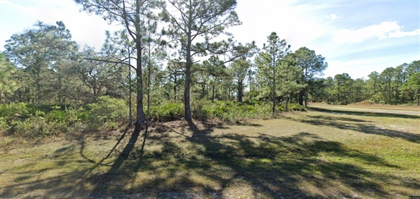 Japonica Ave Indian Lake Estates Florida, 33855 | Beautiful Residential Land