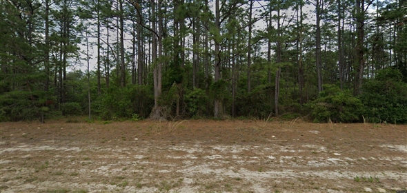 4443 W Citrus Springs Blvd Citrus Spgs Florida, 34433 | Beautiful Residential Land