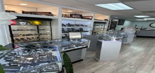 Simi Valley California, 93063 | Thriving Jewelry Store with Established Clientele