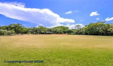 12700 Rolling Road Dr , Pinecrest Florida                                                                                              33156