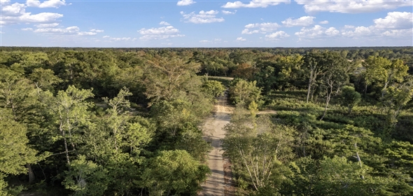 River Pass Rd Franklinton Louisiana, 70438 | Beatiful residential land