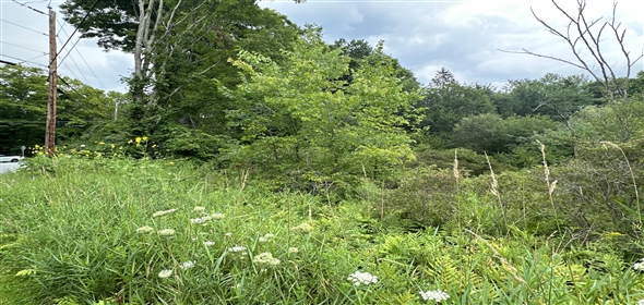 27 Old Turnpike Rd Litchfield Connecticut, 06750 | Beautiful residential land