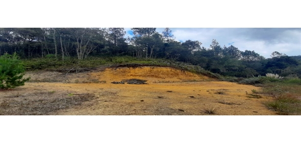 Altos Loma Del Escobero Envigado Antioquia,  | Residential Lot for Sale in Altos del Escobero