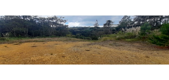 Altos Loma Del Escobero Envigado Antioquia,  | Residential Lot for Sale in Altos del Escobero