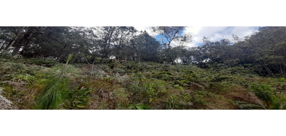 Altos Loma Del Escobero Envigado Antioquia,  | Residential Lot for Sale in Altos del Escobero